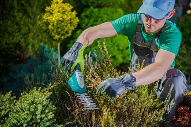 landscaping services SUNY Oswego